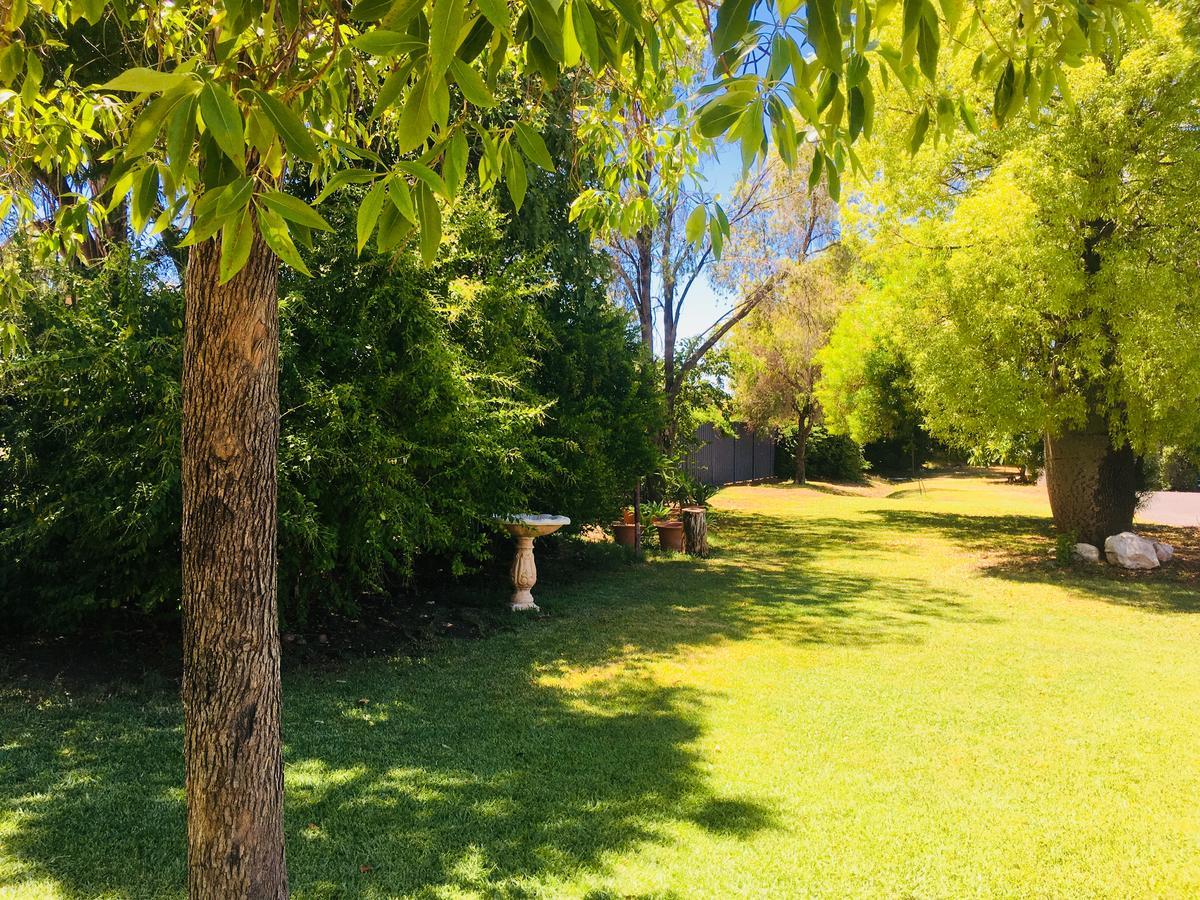 Balonne River Motor Inn Saint George Bagian luar foto