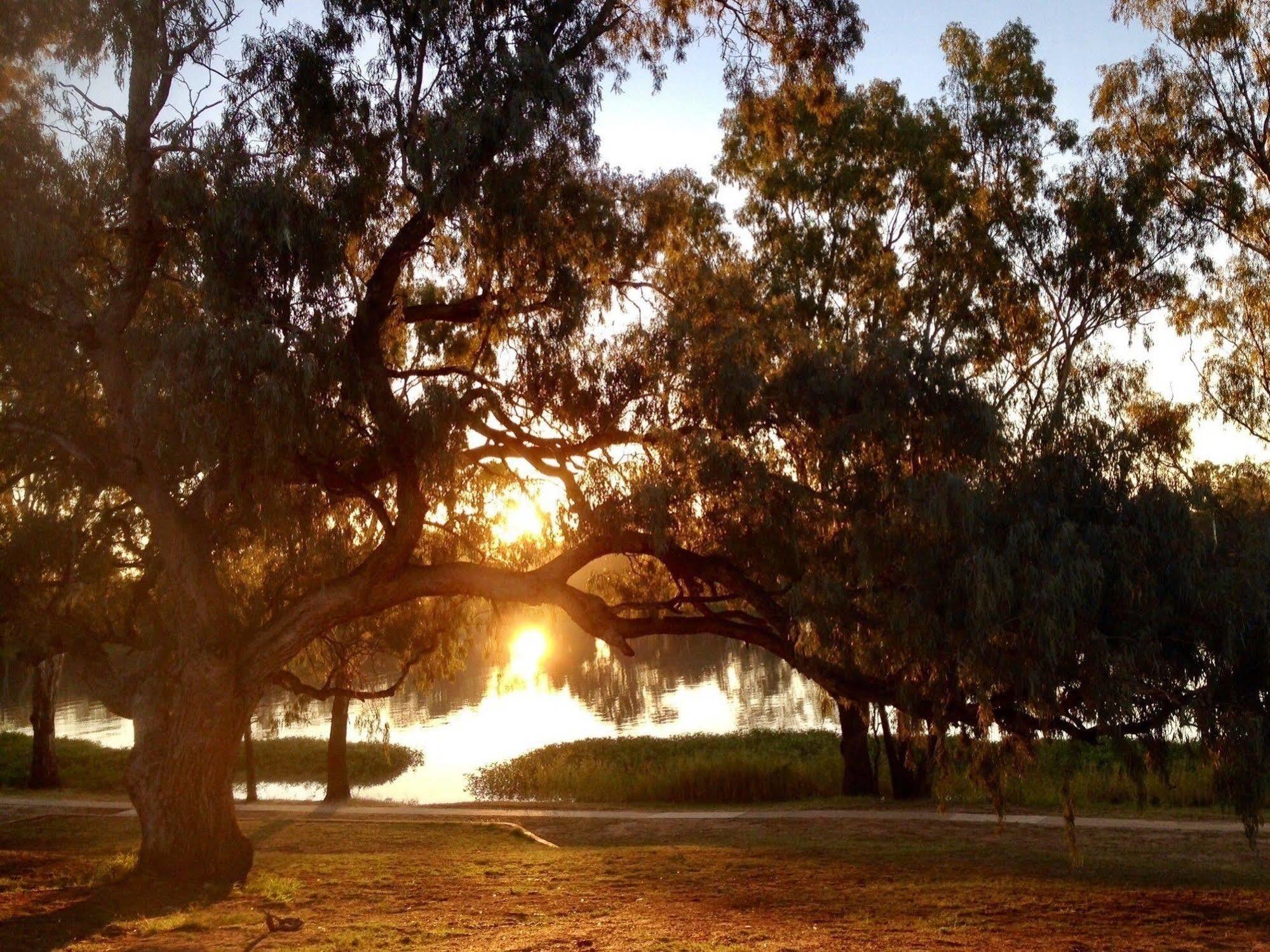 Balonne River Motor Inn Saint George Bagian luar foto